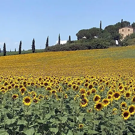 Il Vecchio Seccatoio 4* Solomeo