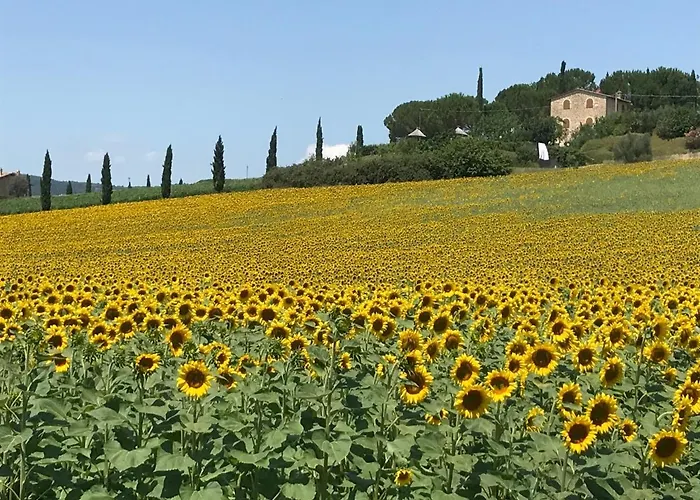 Alojamento de Acomodação e Pequeno-almoço Il Vecchio Seccatoio